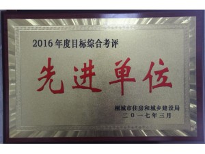 2016年度先进单位